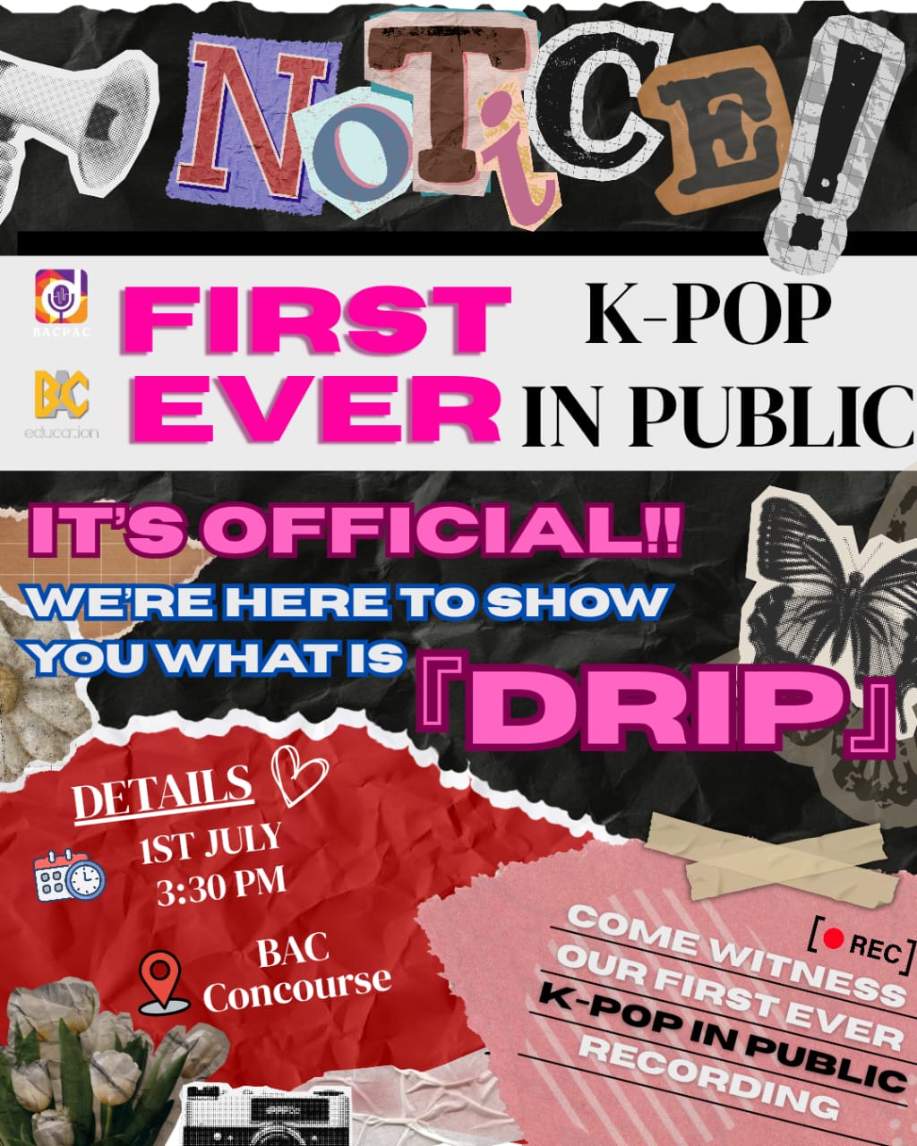 K-Pop in Public
